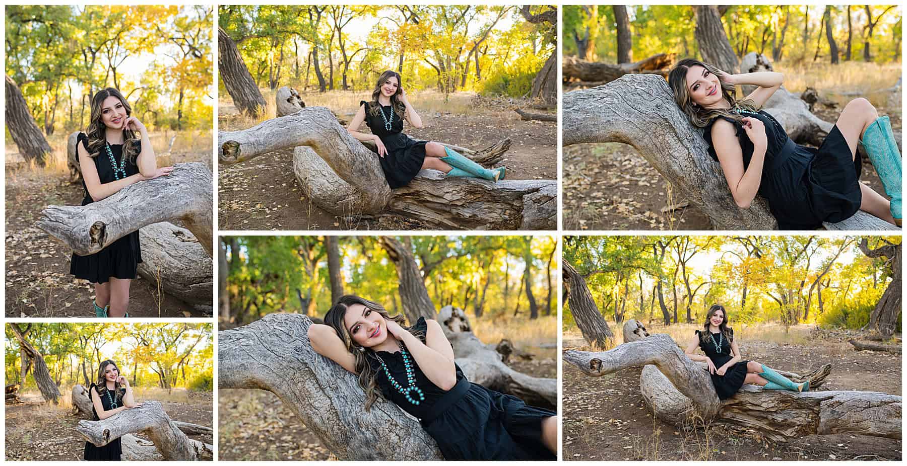 Senior Photos, New Mexico Senior Photos, Albuquerque Senior Photos. Senior Photographer, Senior Pictures , New Mexico Senior Photos in the Bosque, High School Senior Photographer, New Mexico Senior Photographer, Albuquerque Senior Photogrpaher 