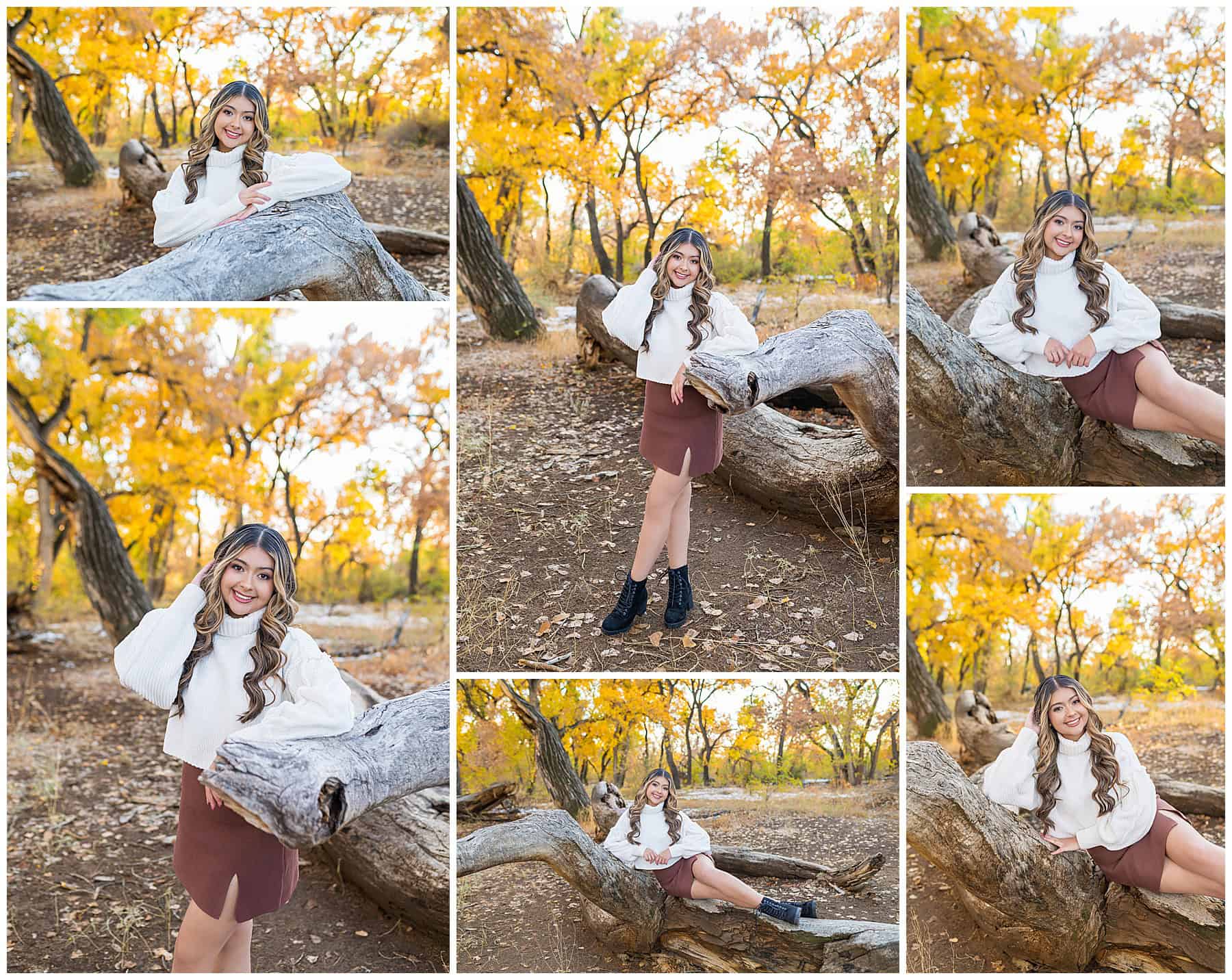 Girl leaning on a tree at her Fall Senior Pictures in Albuquerque, NM. 