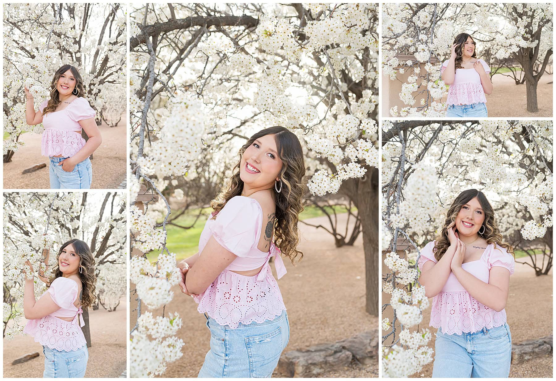 Soft and romantic senior pictures in New Mexico featuring white tree blossoms and natural light