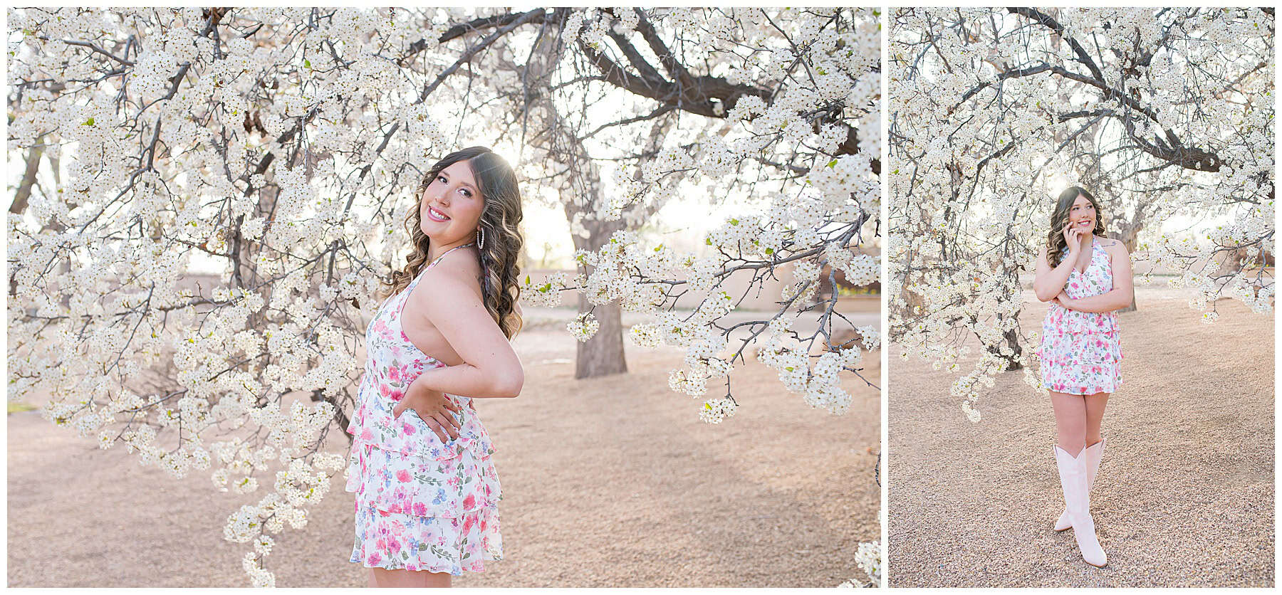 Elegant senior girl in soft pink dress with white flowers and picket fence backdrop in New Mexico