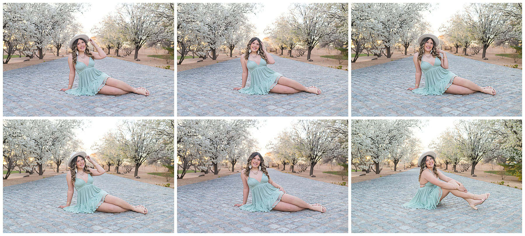 Soft and romantic senior pictures in New Mexico featuring white tree blossoms and natural light