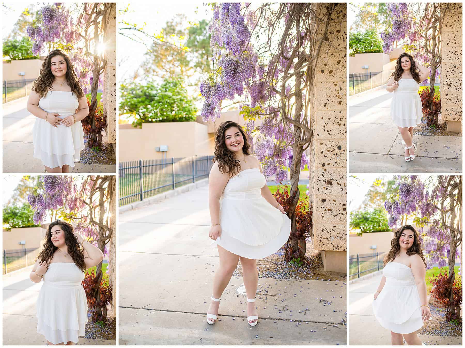 Senior graduation photo of a gorgeous Estancia High School student in a white dress surrounded by vibrant wisteria flowers at UNM campus.