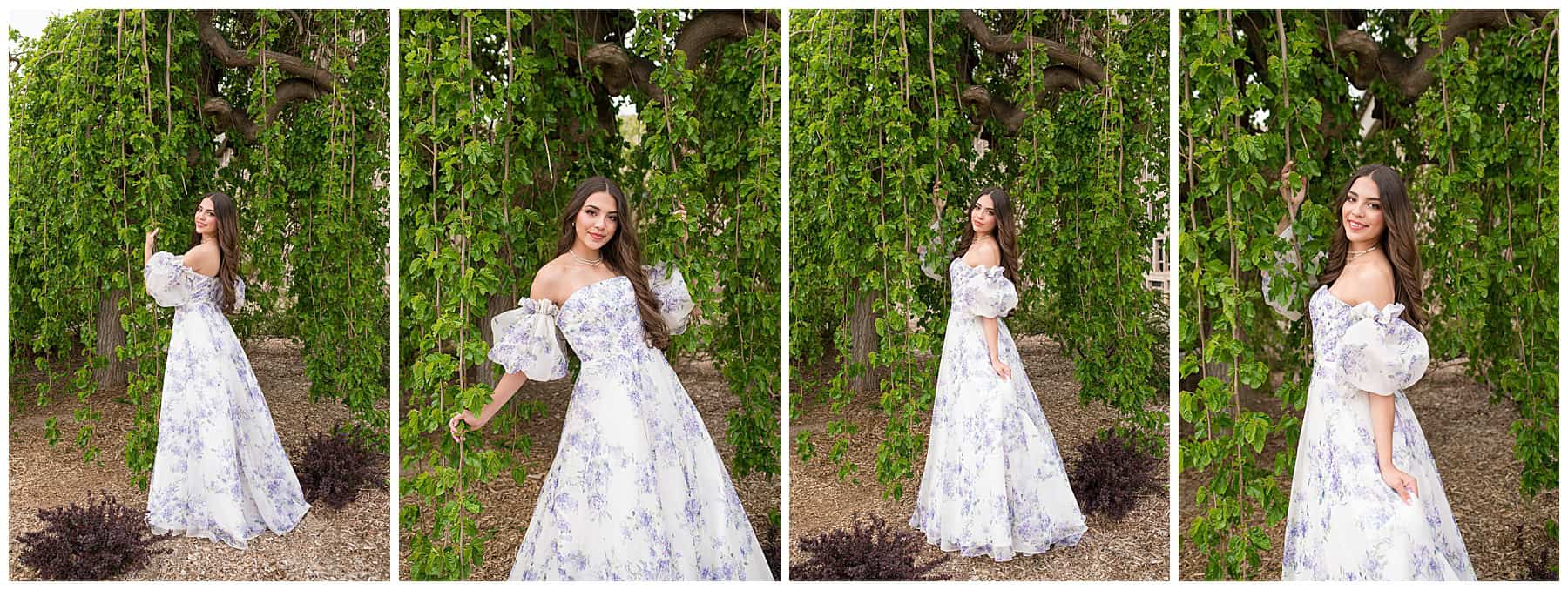 Senior girl standing in front of a lush green tree that resembles a weeping willow during a natural light senior photography session in Albuquerque.