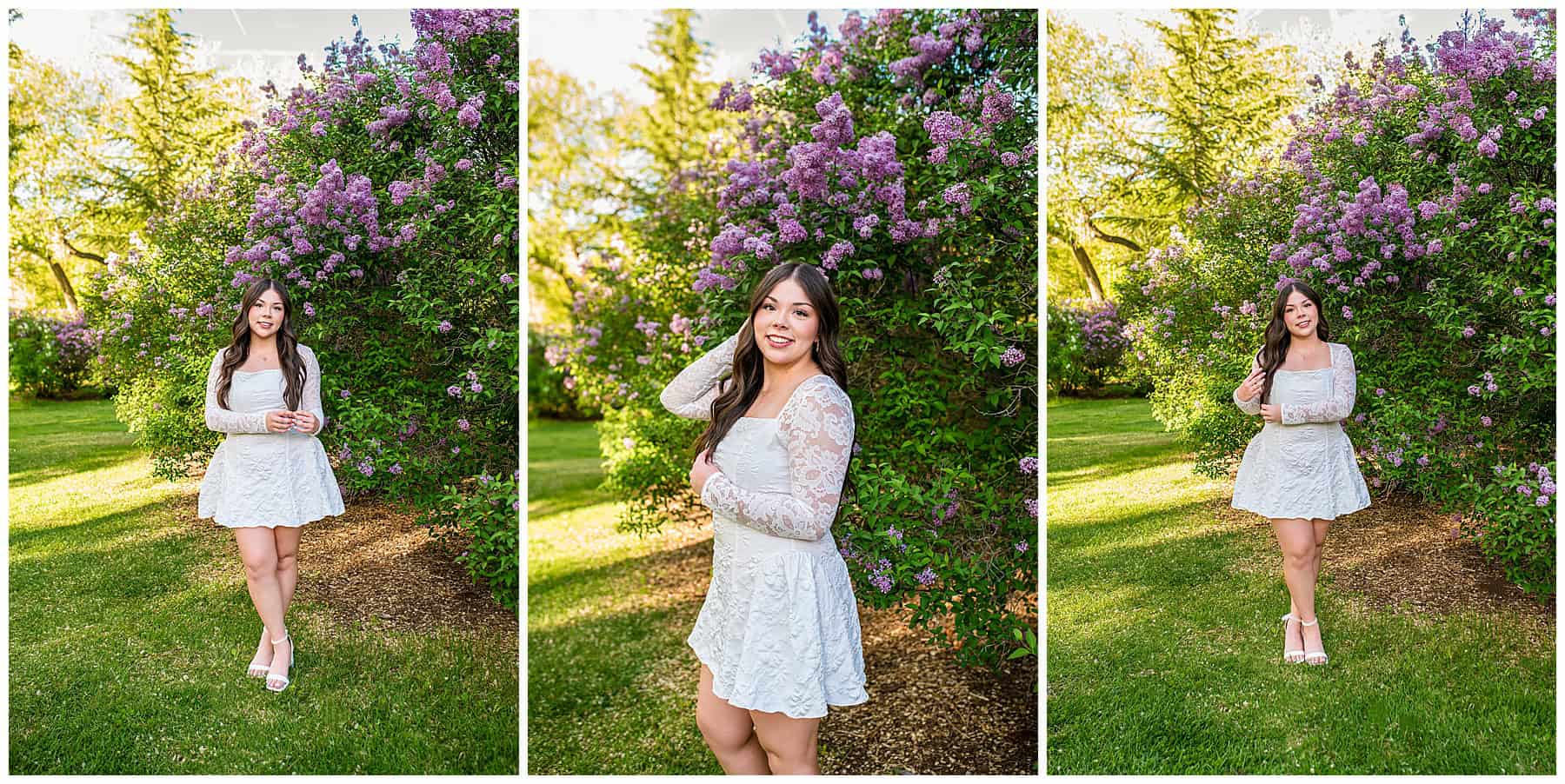 High school senior in a long-sleeved white dress posing by lilac bushes at UNM campus.