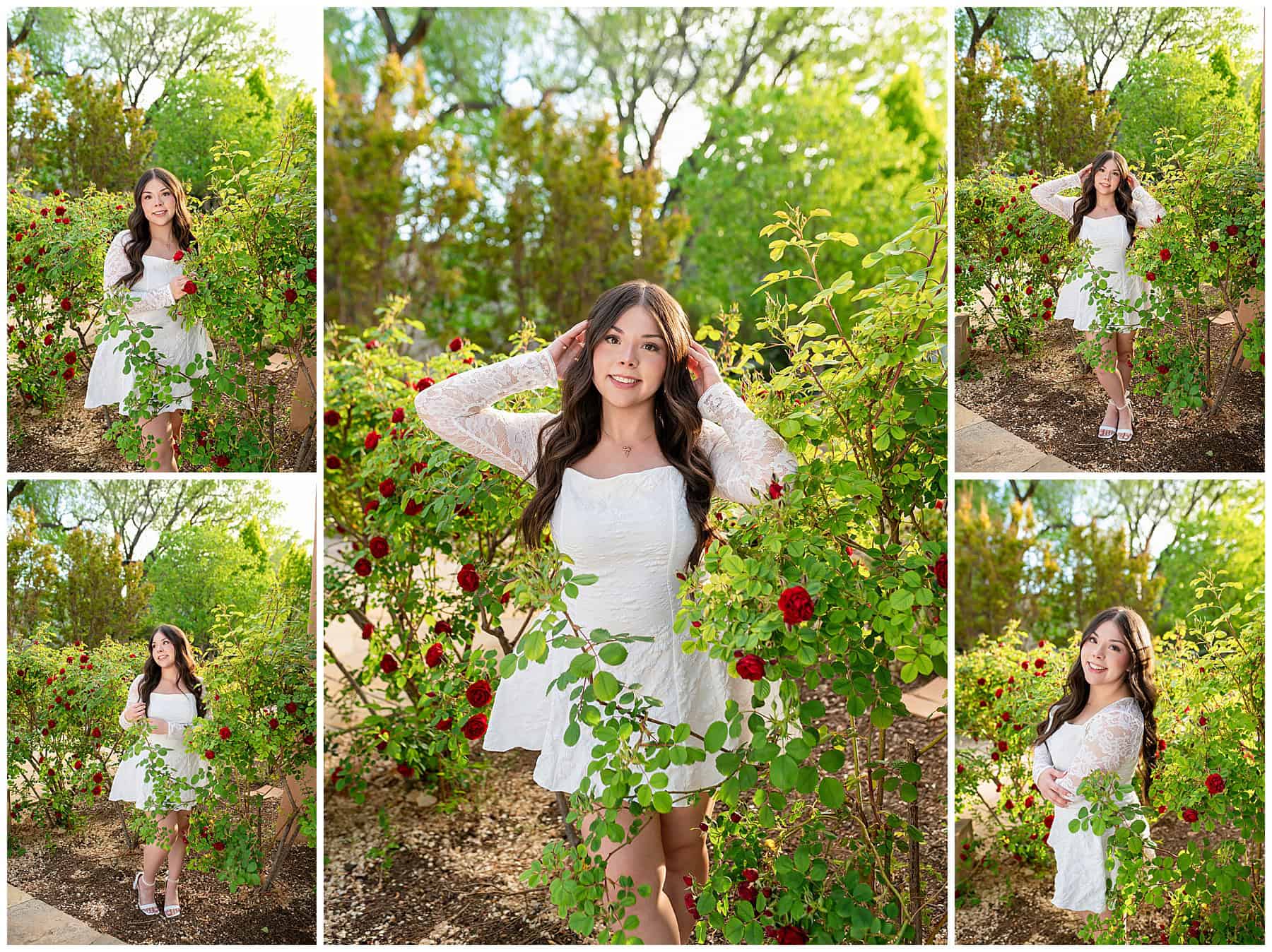Albuquerque, New Mexico High school senior standing in a garden of red roses wearing a white dress at UNM.