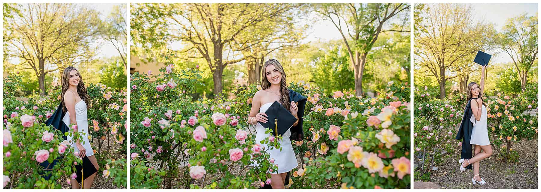 Graduate in a white dress and black cap and gown standing by colorful rose bushes on the University of New Mexico campus.