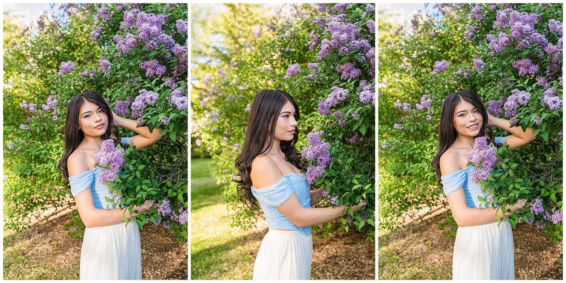 High school senior in a blue top and flowy tulle skirt posing in front of lilac bushes during her Albuquerque, New Mexico senior photo session.