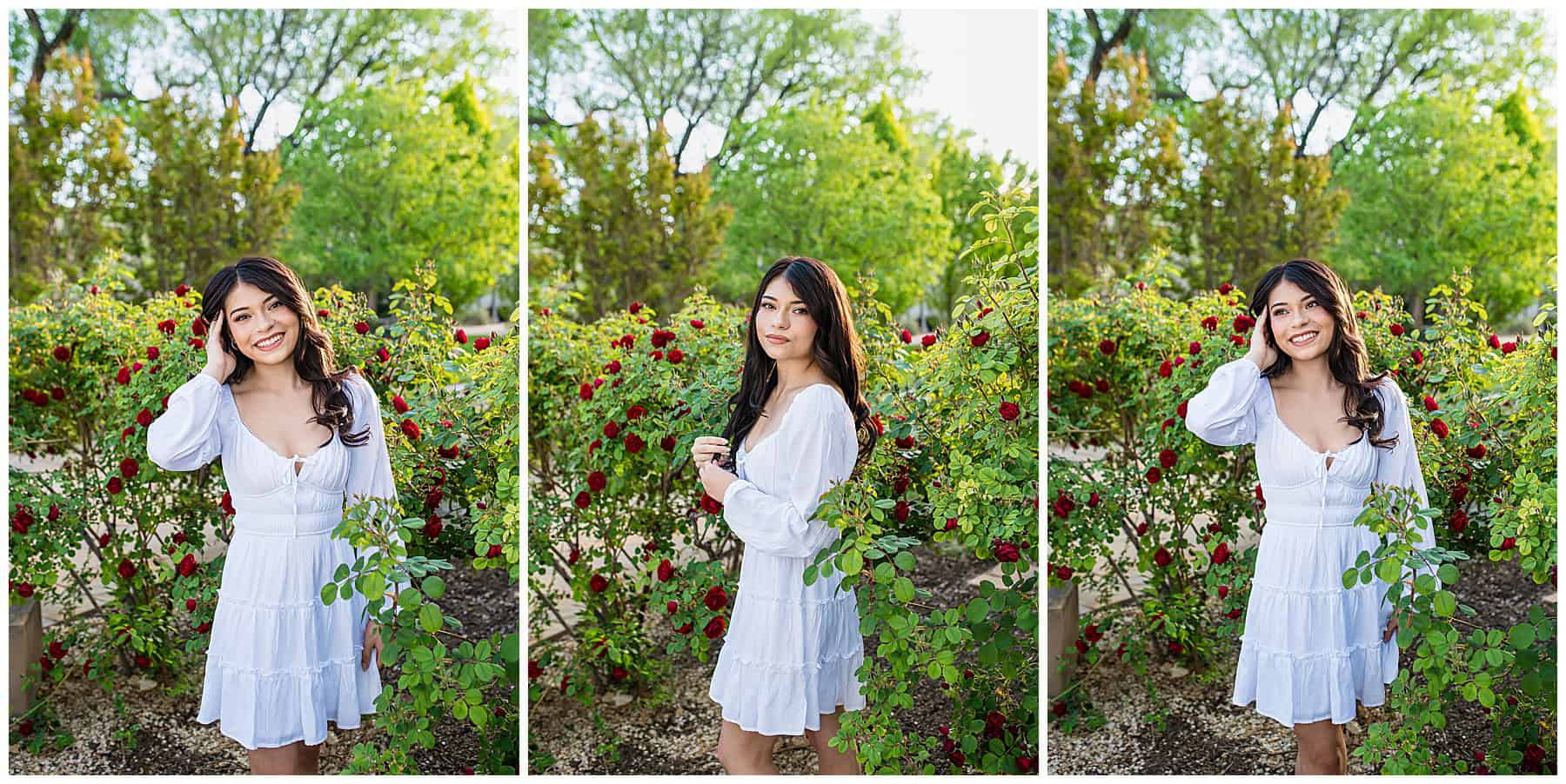 High school senior wearing a white dress standing by a lush red rose bush during her senior photo session in Rio Rancho, New Mexico