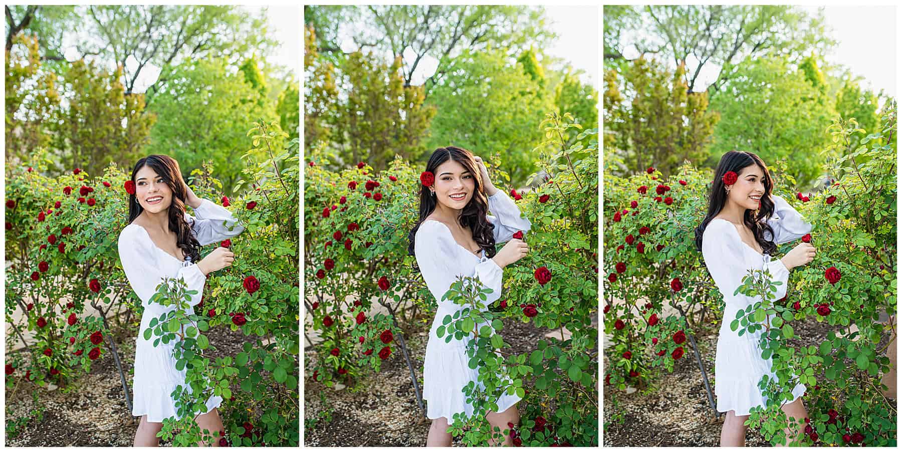 Senior girl posing in a white dress among vibrant red roses at a spring senior session in Albuquerque, NM.