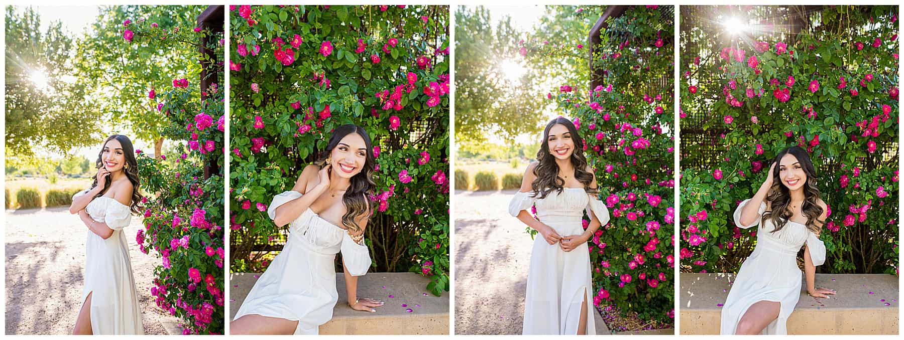 High school senior in a white flowy dress standing in front of blooming pink roses at Bachechi Open Space in Albuquerque, New Mexico.