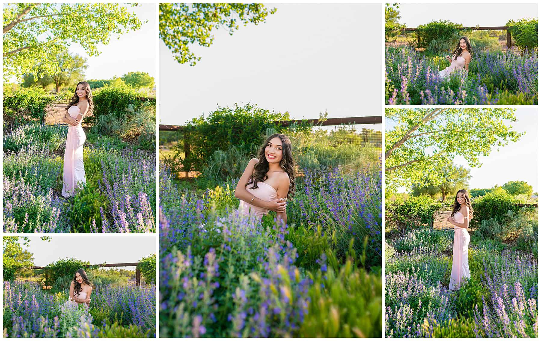 St. Pius High School senior in a pink two-piece dress surrounded by lavender bushes with soft golden light at Bachechi Open Space in Albuquerque.