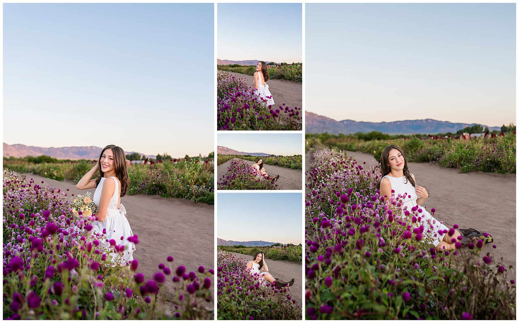 Albuquerque High School Senior pictures 